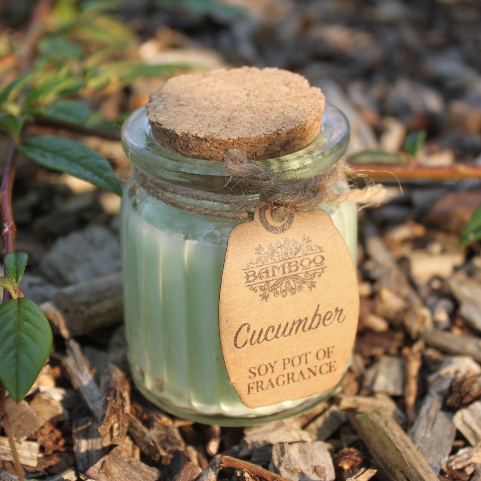 Beautiful Scented Candles Infused with Reiki Healing Energy Cucumber